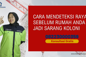 Cara Mendeteksi Rayap Sebelum Rumah Anda Jadi Sarang Koloni