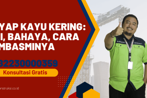 Rayap Kayu Kering: Ciri, Bahaya, Cara Membasminya