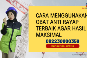 Cara Menggunakan Obat Anti Rayap Terbaik agar Hasil Maksimal