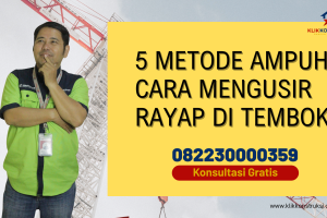 5 Metode Ampuh Cara Mengusir Rayap di Tembok