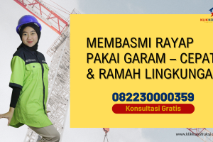 Membasmi Rayap Pakai Garam – Cepat & Ramah Lingkungan