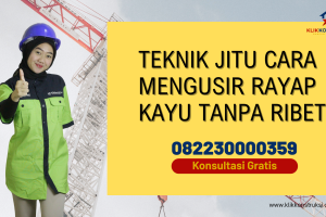 Teknik Jitu Cara Mengusir Rayap Kayu Tanpa Ribet