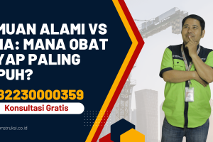 Ramuan Alami vs Kimia: Mana Obat Rayap Paling Ampuh?