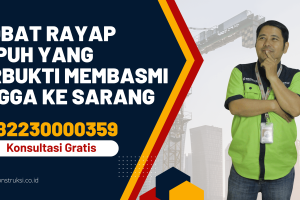 Harga Cairan Anti Rayap Berkualitas vs. Biaya Jasa Profesional