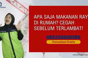 Apa Saja Makanan Rayap di Rumah? Cegah Sebelum Terlambat!