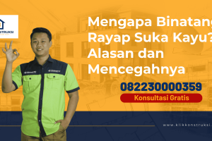 Mengapa Binatang Rayap Suka Kayu? Alasan dan Mencegahnya