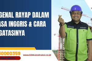 Mengenal Rayap dalam Bahasa Inggris & Cara Mengatasinya