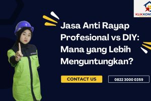 Jasa Anti Rayap Profesional vs DIY: Mana yang Lebih Menguntungkan?
