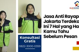 Jasa Anti Rayap Jakarta Terdekat? Ini 7 Hal yang Harus Kamu Tahu Sebelum Pesan