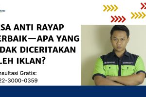 Jasa Anti Rayap Terbaik—Apa yang Tidak Diceritakan Oleh Iklan?