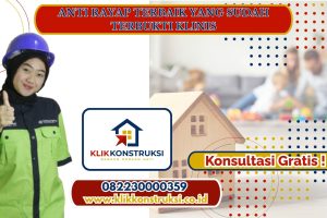 Anti Rayap Terbaik yang Sudah Terbukti Klinis